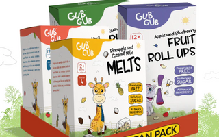 Healthy Snacking for Kids: How GubGub Stands Out from the Rest